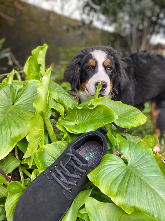 Cómo Hacer una Buena Transición del Calzado Tradicional al Calzado Barefoot